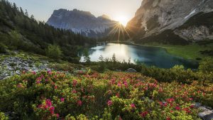 nature3-min